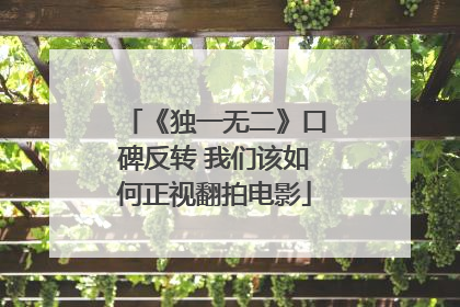 《独一无二》口碑反转 我们该如何正视翻拍电影
