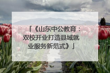 《山东中公教育：双校开业打造县域就业服务新范式》