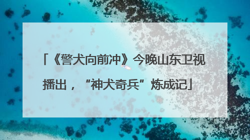 《警犬向前冲》今晚山东卫视播出，“神犬奇兵”炼成记
