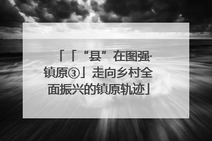 「“县”在图强·镇原③」走向乡村全面振兴的镇原轨迹
