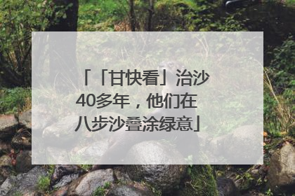 「甘快看」治沙40多年，他们在八步沙叠涂绿意