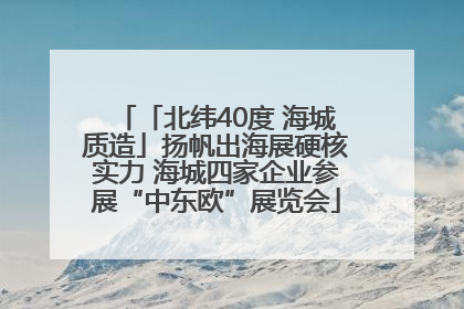 「北纬40度 海城质造」扬帆出海展硬核实力 海城四家企业参展“中东欧”展览会