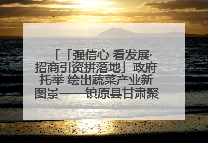 「强信心 看发展·招商引资拼落地」政府托举 绘出蔬菜产业新图景——镇原县甘肃聚广利现代设施蔬菜种植基地见闻