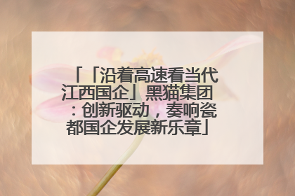 「沿着高速看当代江西国企」黑猫集团：创新驱动，奏响瓷都国企发展新乐章