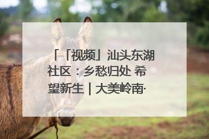 「视频」汕头东湖社区：乡愁归处 希望新生｜大美岭南·百村焕新记