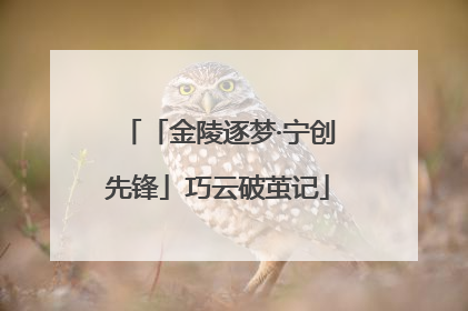 「金陵逐梦·宁创先锋」巧云破茧记