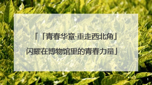 「青春华章·重走西北角」闪耀在博物馆里的青春力量