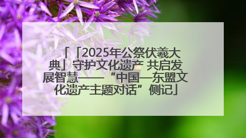 「2025年公祭伏羲大典」守护文化遗产 共启发展智慧——“中国—东盟文化遗产主题对话”侧记