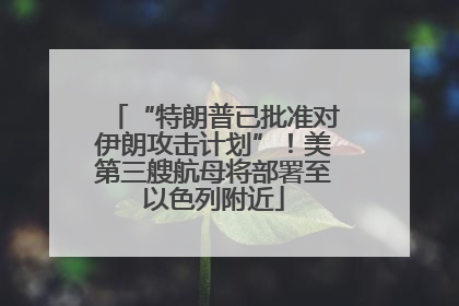 “特朗普已批准对伊朗攻击计划”！美第三艘航母将部署至以色列附近