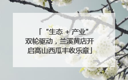 “生态 + 产业”双轮驱动，兰溪黄店开启高山西瓜丰收乐章