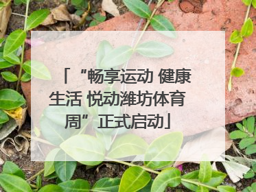 “畅享运动 健康生活 悦动潍坊体育周”正式启动