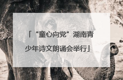 “童心向党”湖南青少年诗文朗诵会举行