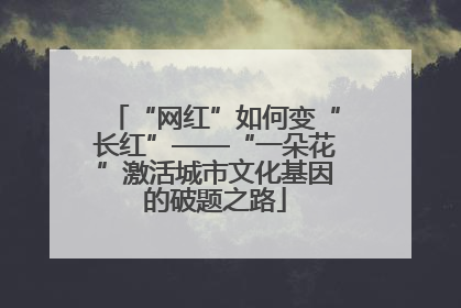 “网红”如何变“长红”——“一朵花”激活城市文化基因的破题之路