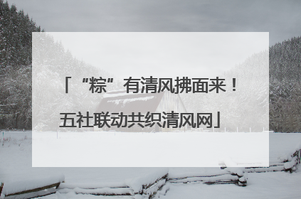 “粽”有清风拂面来！五社联动共织清风网