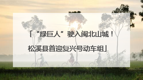 “绿巨人”驶入闽北山城！松溪县首迎复兴号动车组