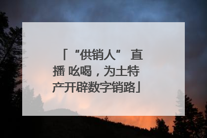 “供销人” 直播 吆喝，为土特产开辟数字销路