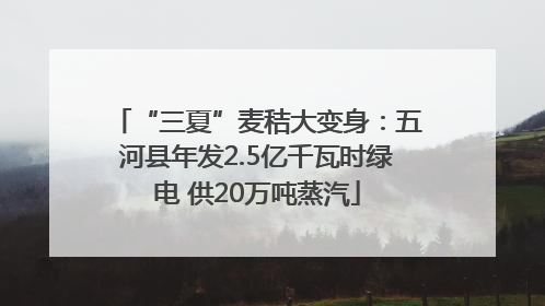 “三夏”麦秸大变身：五河县年发2.5亿千瓦时绿电 供20万吨蒸汽
