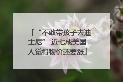 “不敢带孩子去迪士尼” 近七成美国人觉得物价还要涨