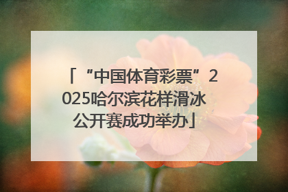 “中国体育彩票”2025哈尔滨花样滑冰公开赛成功举办
