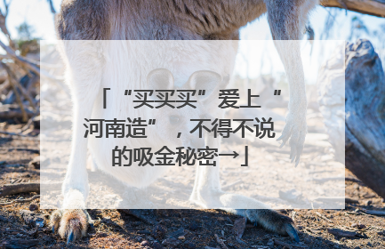 “买买买”爱上“河南造”，不得不说的吸金秘密→