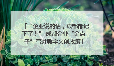 “企业说的话，成都都记下了！” 成都企业“金点子”写进数字文创政策