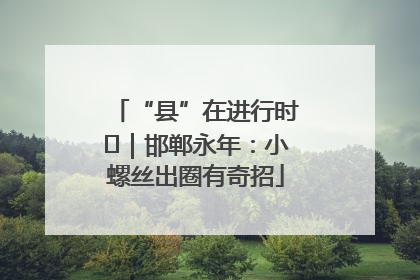 “县”在进行时⑬｜邯郸永年：小螺丝出圈有奇招