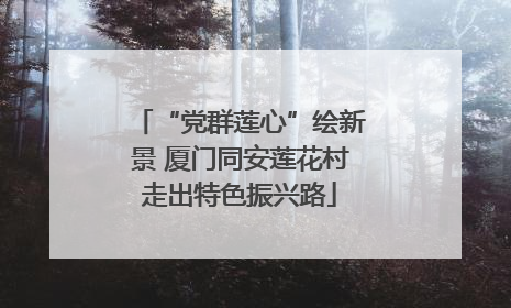 “党群莲心”绘新景 厦门同安莲花村走出特色振兴路
