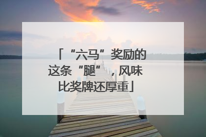 “六马”奖励的这条“腿”，风味比奖牌还厚重