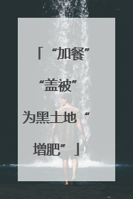 “加餐”“盖被” 为黑土地“增肥”