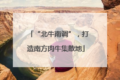 “北牛南调”，打造南方肉牛集散地