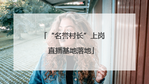 “名誉村长”上岗 直播基地落地