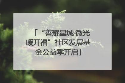 “善耀星城·微光暖开福”社区发展基金公益季开启