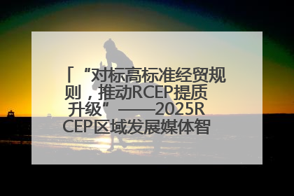 “对标高标准经贸规则，推动RCEP提质升级”——2025RCEP区域发展媒体智库论坛举行专题对话