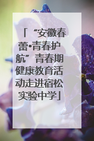 “安徽春蕾•青春护航”青春期健康教育活动走进宿松实验中学