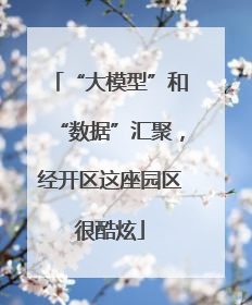 “大模型”和“数据”汇聚，经开区这座园区很酷炫