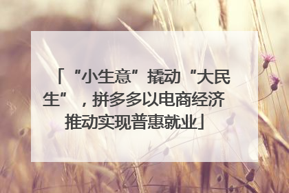 “小生意”撬动“大民生”，拼多多以电商经济推动实现普惠就业