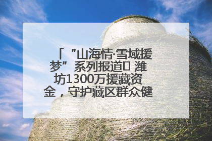 “山海情·雪域援梦”系列报道⑪ 潍坊1300万援藏资金，守护藏区群众健康“最后一公里”