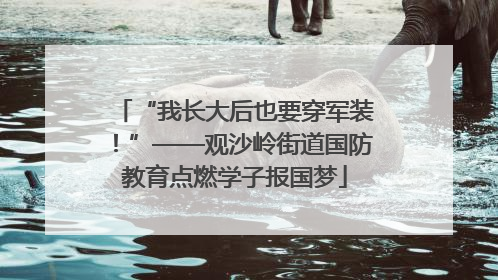 “我长大后也要穿军装！”——观沙岭街道国防教育点燃学子报国梦