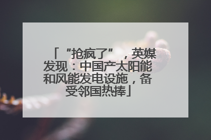 “抢疯了”，英媒发现：中国产太阳能和风能发电设施，备受邻国热捧