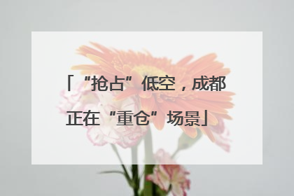 “抢占”低空，成都正在“重仓”场景