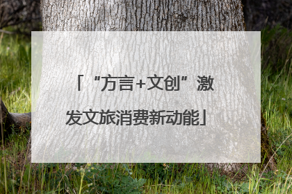 “方言+文创”激发文旅消费新动能