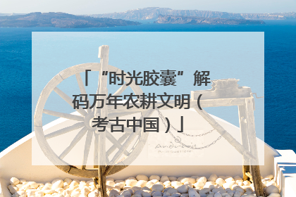 “时光胶囊”解码万年农耕文明（考古中国）