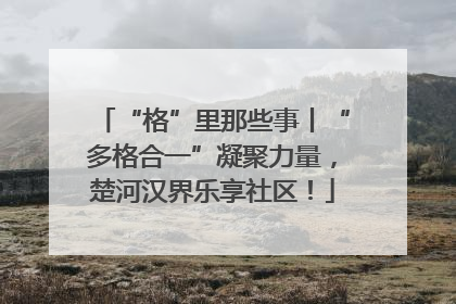 “格”里那些事丨“多格合一”凝聚力量，楚河汉界乐享社区！