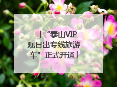 “泰山VIP观日出专线旅游车”正式开通