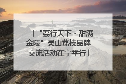 “荔行天下・甜满金陵”灵山荔枝品牌交流活动在宁举行
