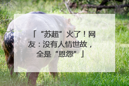“苏超”火了！网友：没有人情世故，全是“恩怨”