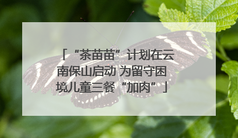 “茶苗苗”计划在云南保山启动 为留守困境儿童三餐“加肉”