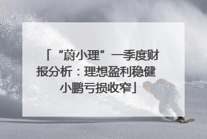 “蔚小理”一季度财报分析：理想盈利稳健 小鹏亏损收窄