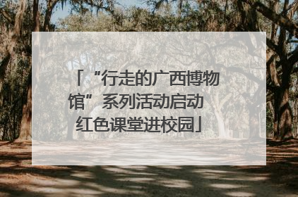 “行走的广西博物馆”系列活动启动 红色课堂进校园