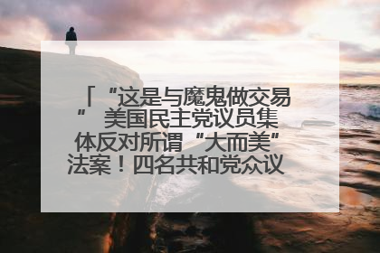 “这是与魔鬼做交易” 美国民主党议员集体反对所谓“大而美”法案！四名共和党众议员投反对票